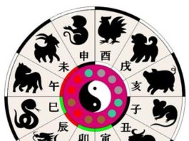 Soi tử vi của dân cá độ trên mạng 2023 Soi tử vi của dân cá độ trên mạng 2017